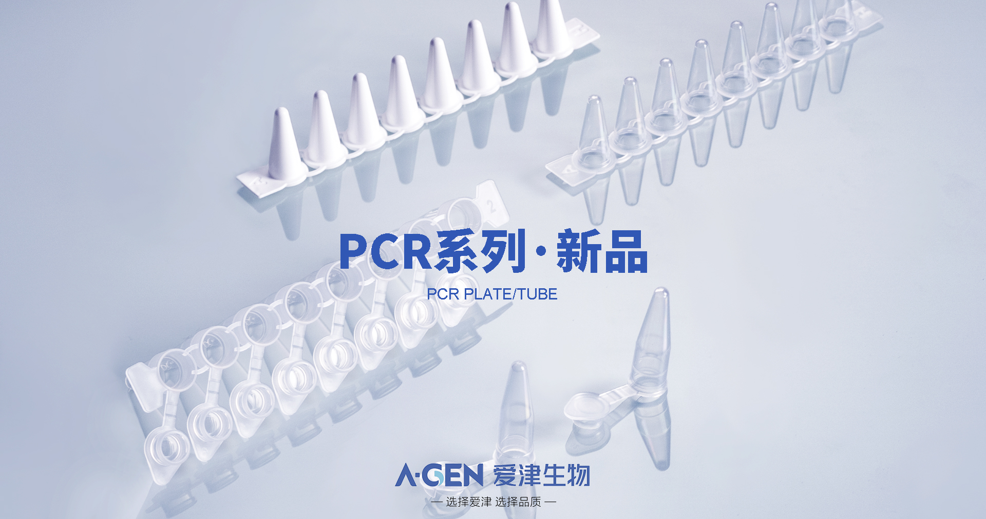 PCR单管图片