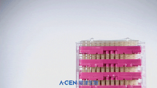 Universal Reloaded Box Pipette Tips | Faster Tip Loading | A-Gen Biotech image