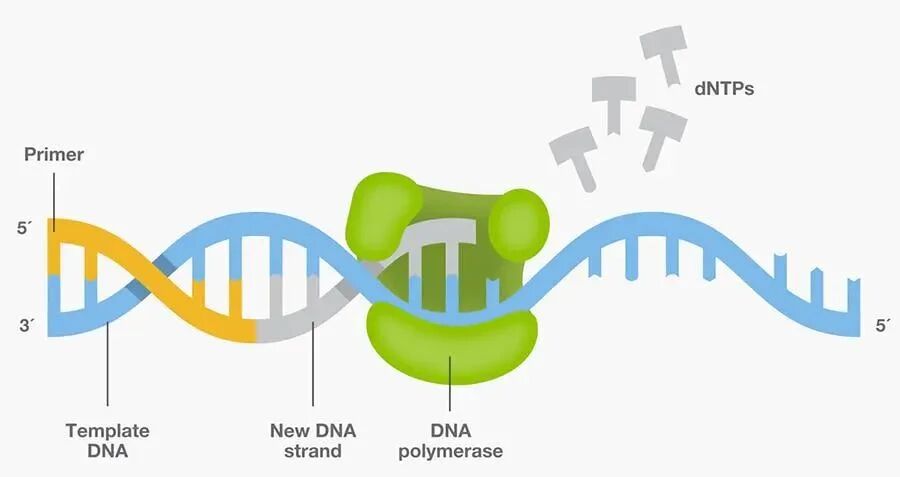 Product recommendation | Ultra-thin tube wall! PCR experiment temperature conduction fast to fly image