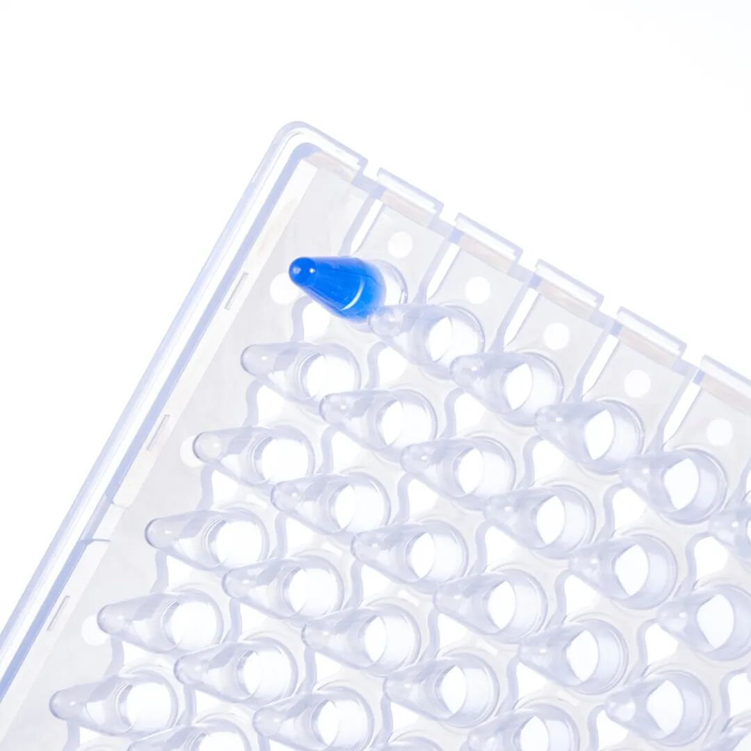 Product recommendation | Ultra-thin tube wall! PCR experiment temperature conduction fast to fly image