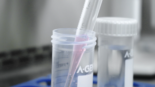 实验室耗材厂家_无油墨款血清移液管_爱津生物