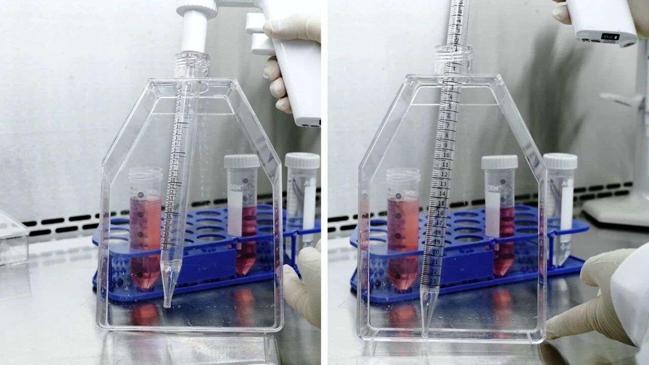 实验室耗材厂家_同一规格不同长度血清移液管_爱津生物