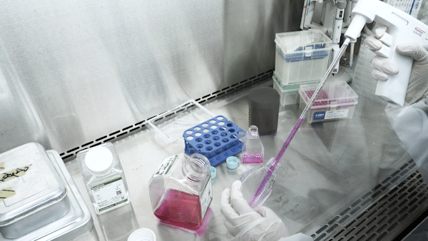 生物耗材厂家_血清移液管_爱津生物