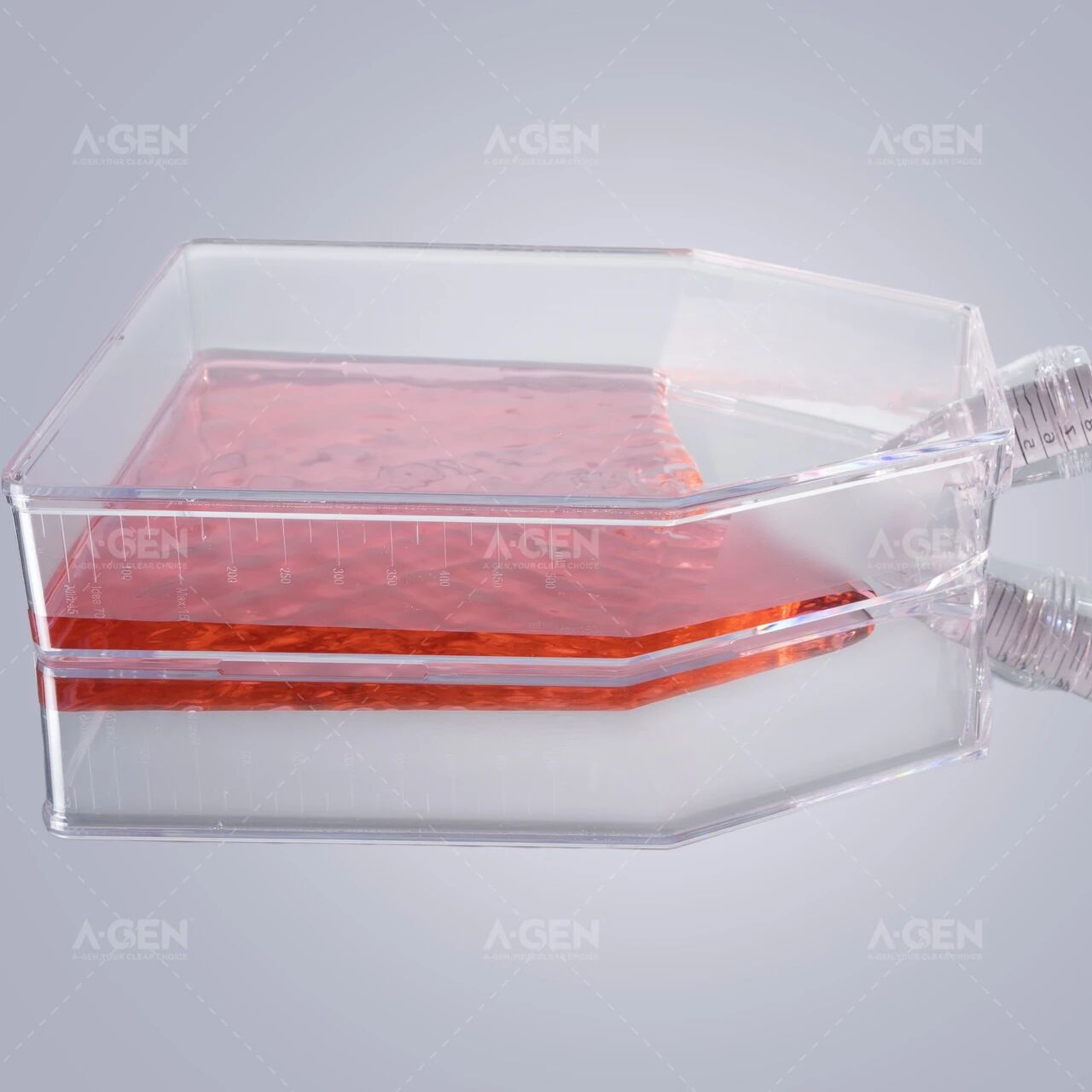 双侧标识_精准量液_细胞培养瓶_爱津生物