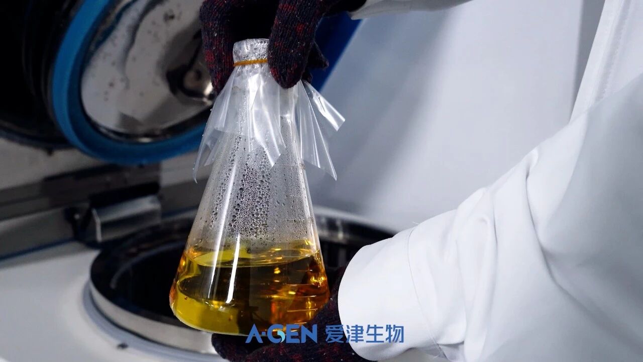 New Product Release | A-Gen Bacteria Culture Bottle and High Temperature Resistant Sealing Film image