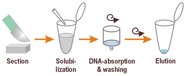Dry Goods Sharing | DNA Gel Recovery Total Step Pit? Operation Steps and FAQ Analysis See Here image
