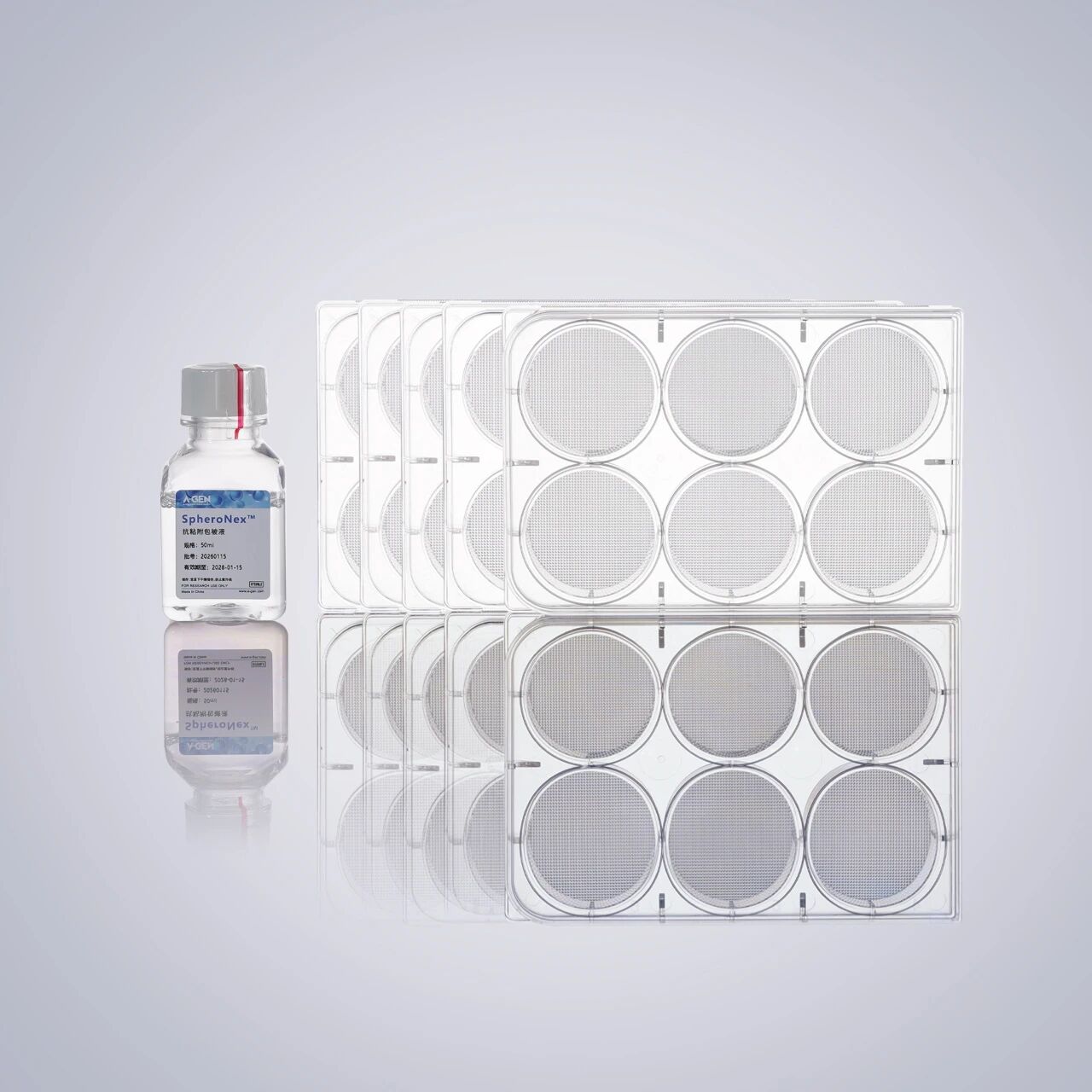 爱津生物 SpheroNex™细胞球体培养6孔板套装