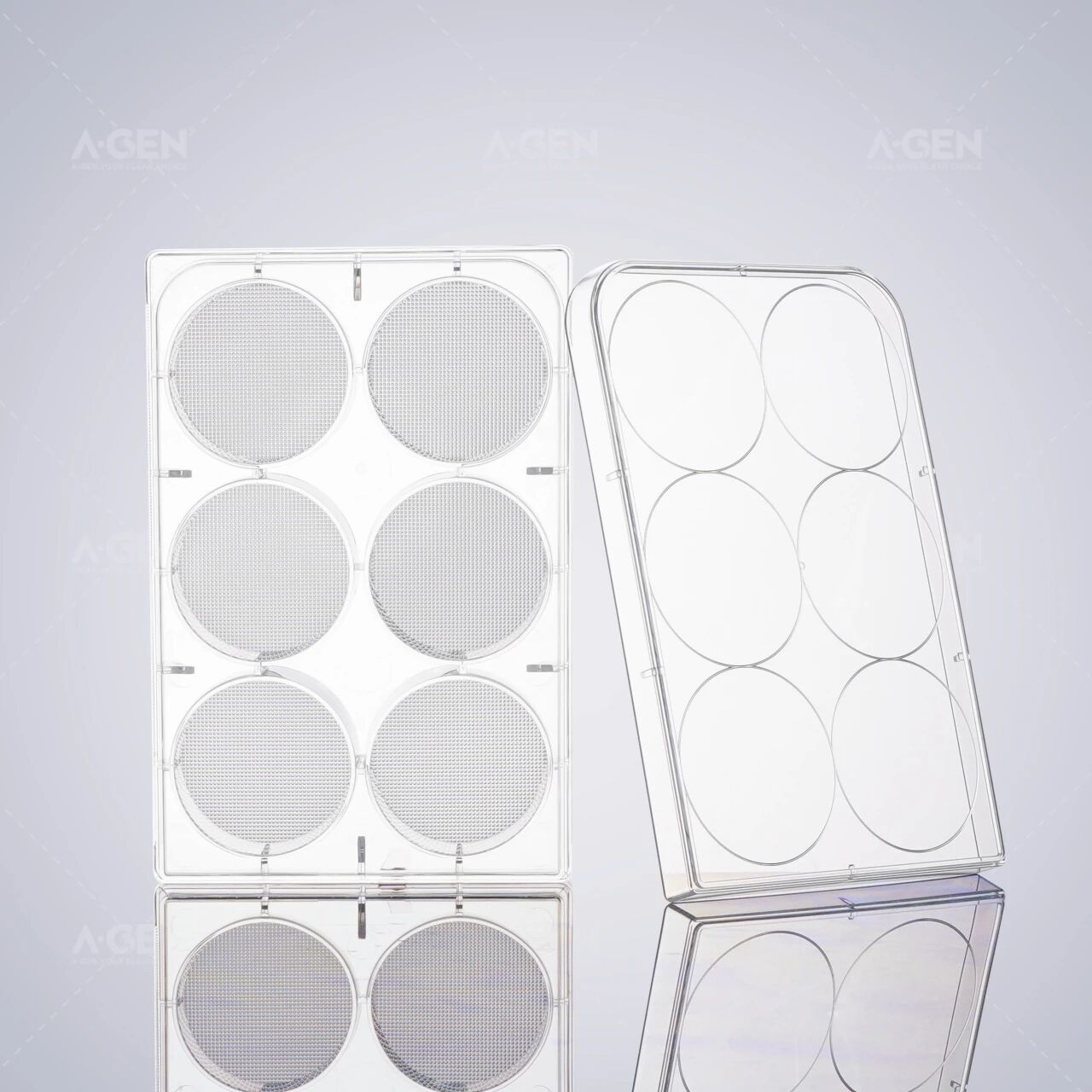 产品推荐 | 做细胞微球还愁效率低、不均一?这款国产3D培养板直接封神图片