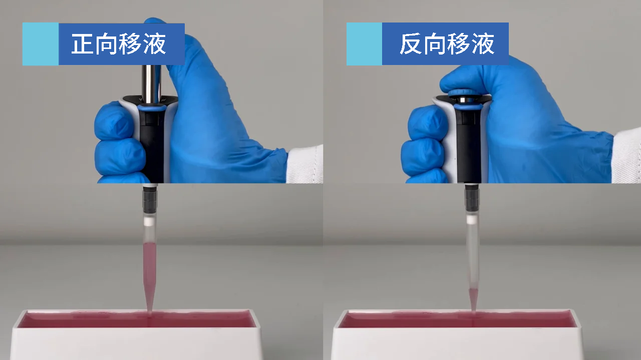 标准吸头 正向移液vs反向移液 爱津生物