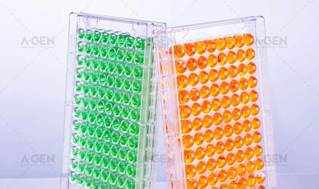 不同规格深孔板配图_爱津生物