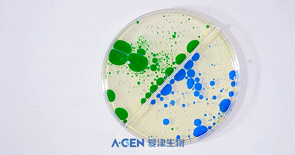 单次实验局限性存在不可规避误差的配图_爱津生物