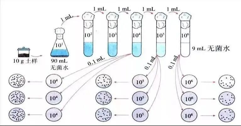 多次重复可发现异常结果配图_爱津生物