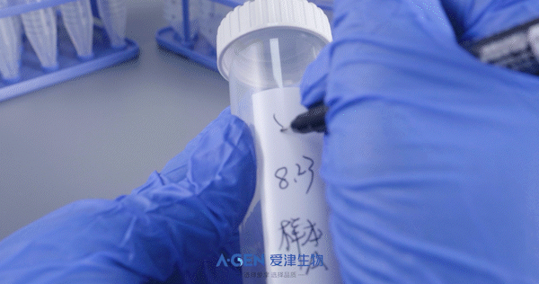 记录实验全过程配图_爱津生物