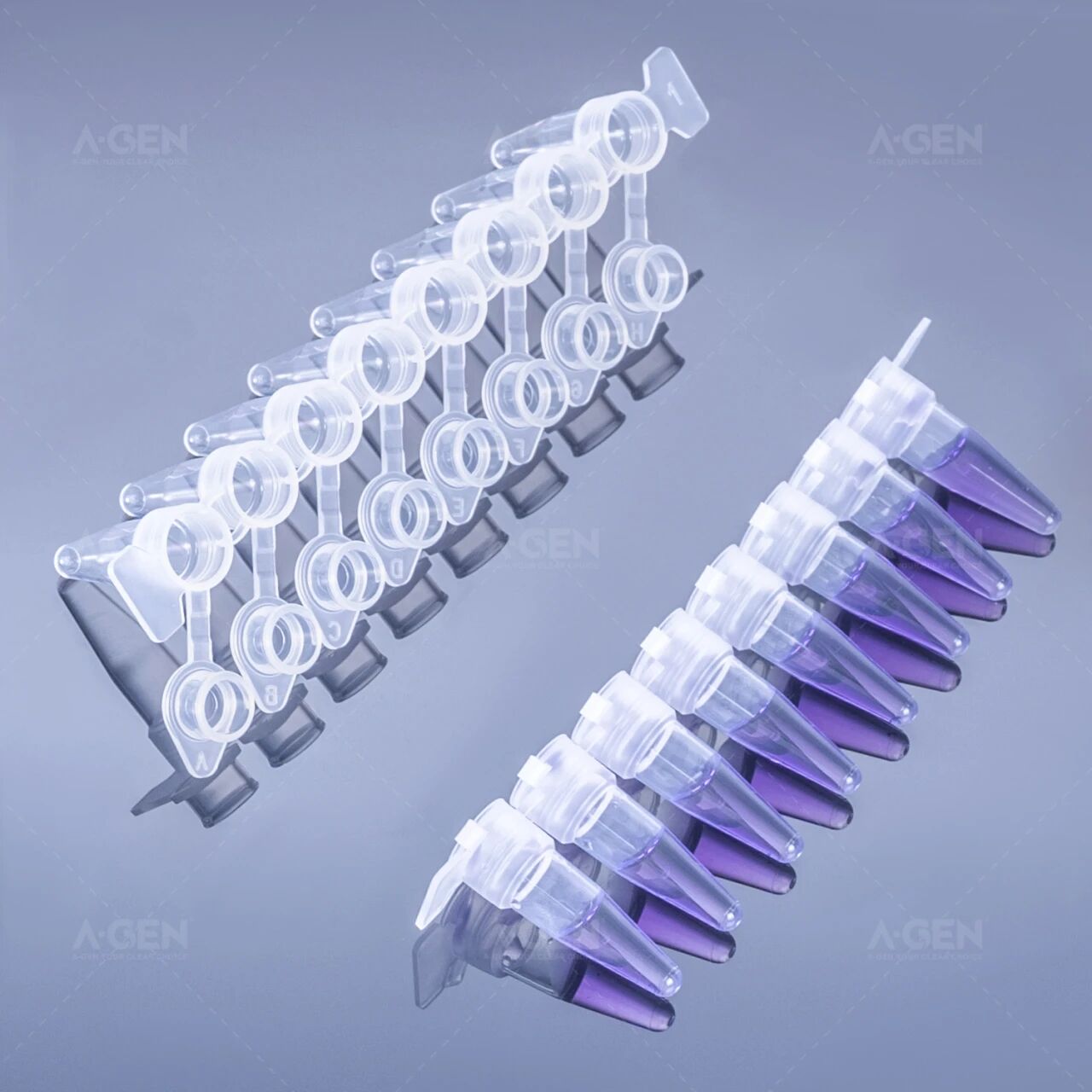 爱津生物PCR八连管_管盖分离设计：盖子与管体完全独立