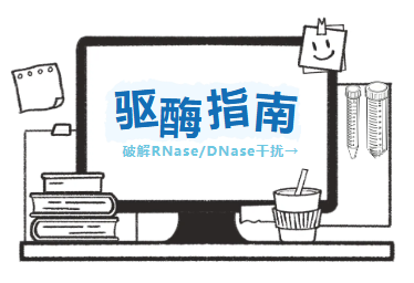 干货分享 | 核酸实验不稳定？可能是酶在“作祟”图片