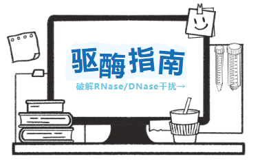 驱酶指南_破解RNase/DNase干扰配图_爱津生物