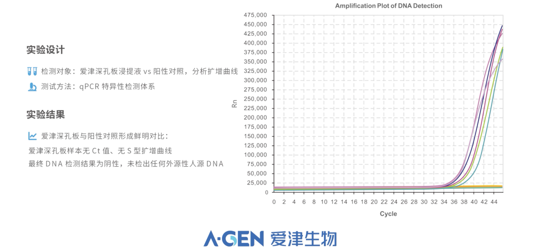 分子生物实验结果_爱津生物