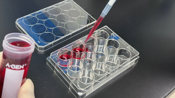 实验室耗材批发_细胞培养板12孔_爱津生物