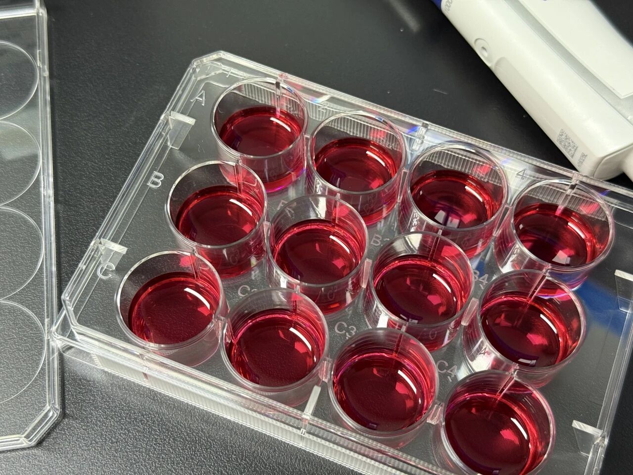 细胞培养板_实验耗材_细胞培养系列_爱津生物
