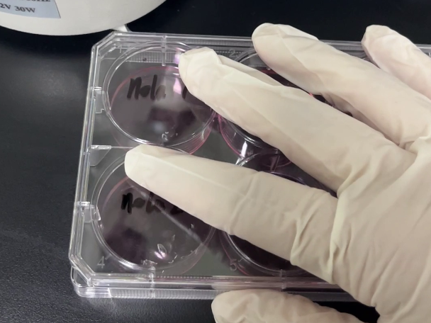 实验室耗材厂家_细胞耗材_生物学实验_爱津生物