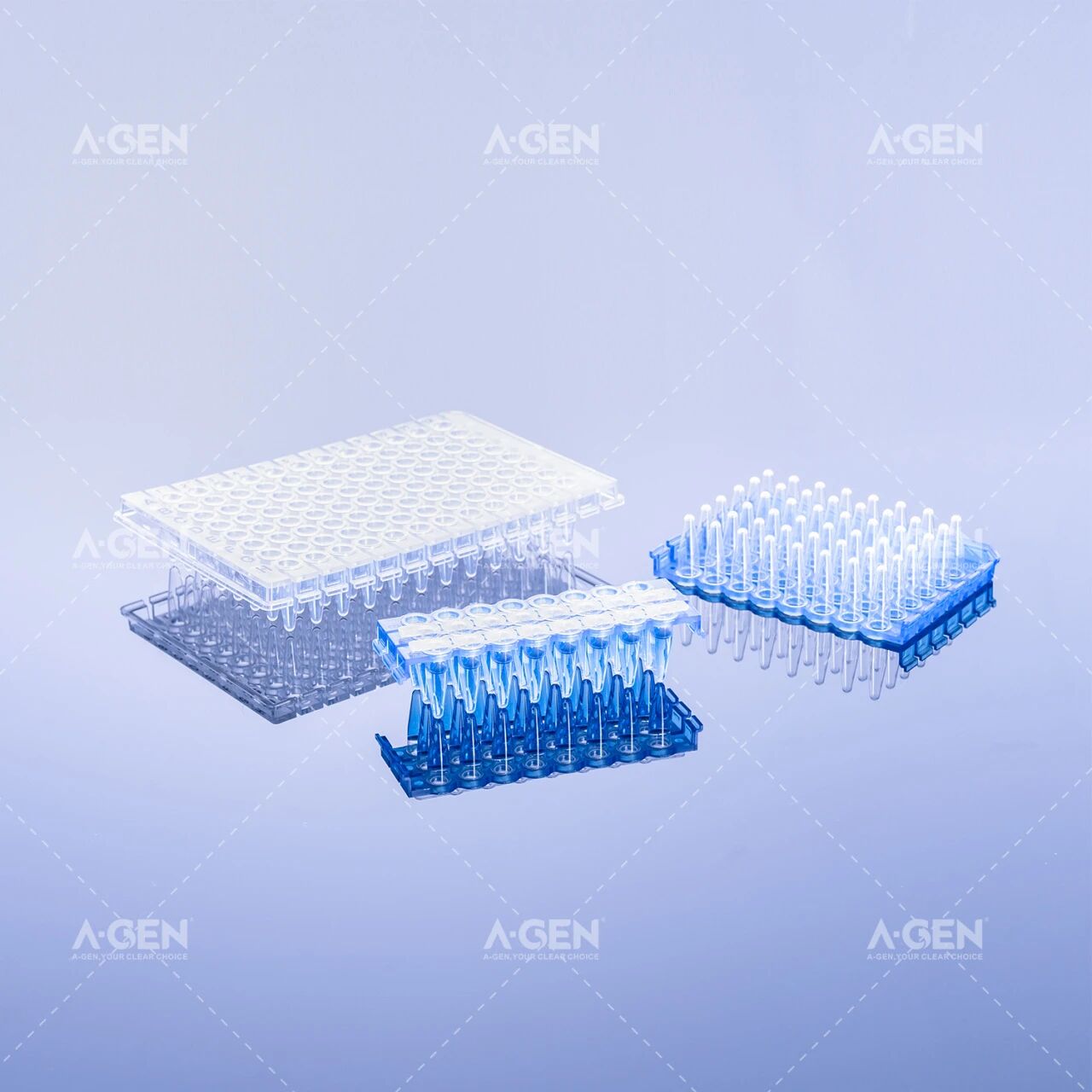 分子生物学_聚合酶链式反应（PCR）_爱津生物