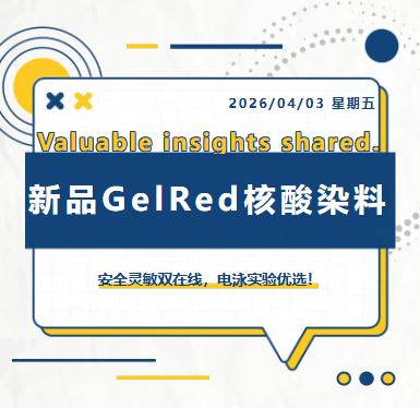 新品推介|爱津生物GelRed核酸染料图片