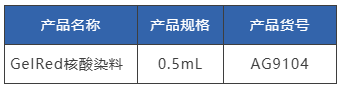 新品推介|爱津生物GelRed核酸染料图片