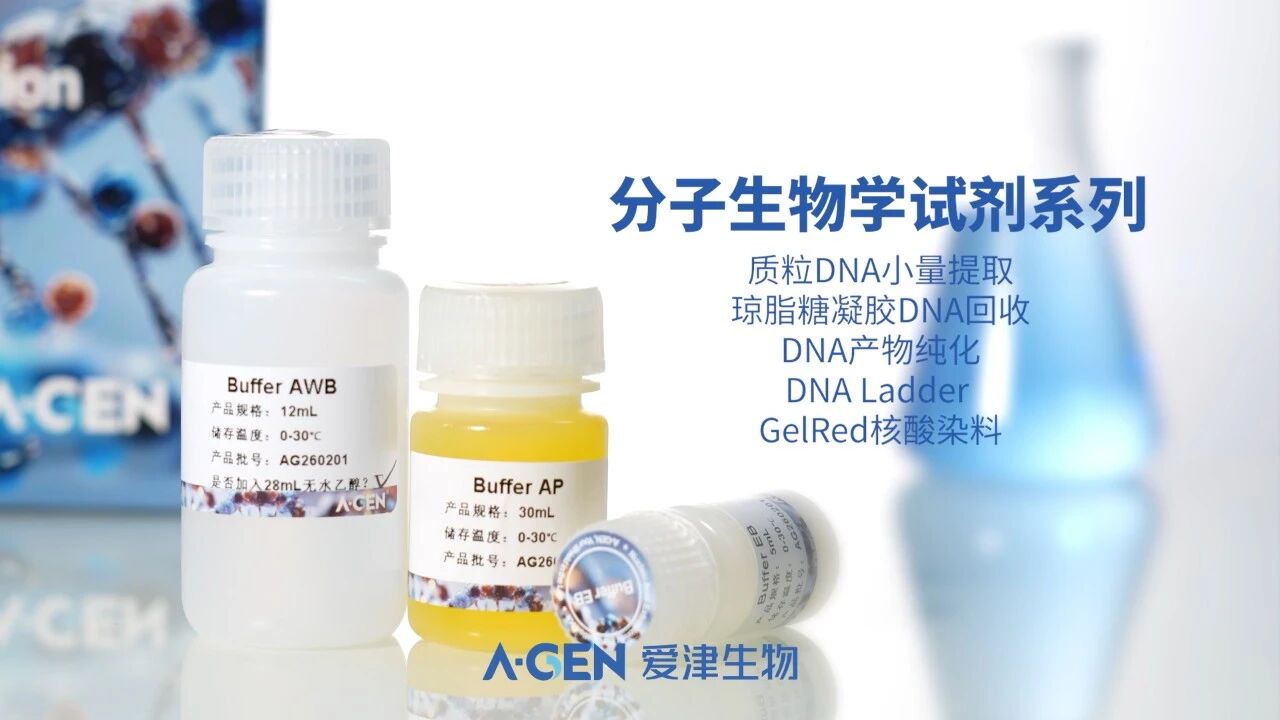 分子生物学试剂系列_爱津生物