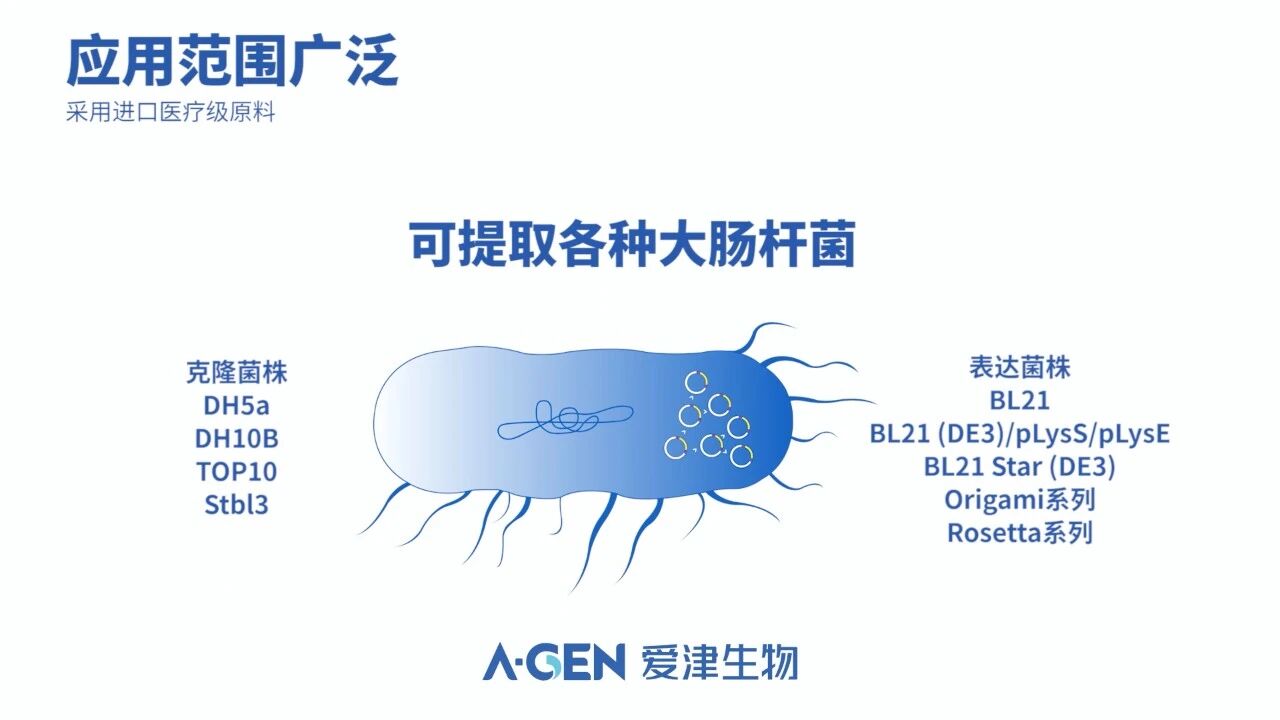 可提取各种大肠杆菌_应用范围配图