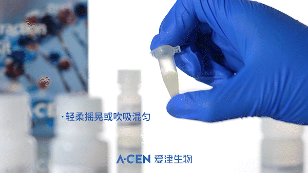 质粒充分复性_爱津生物