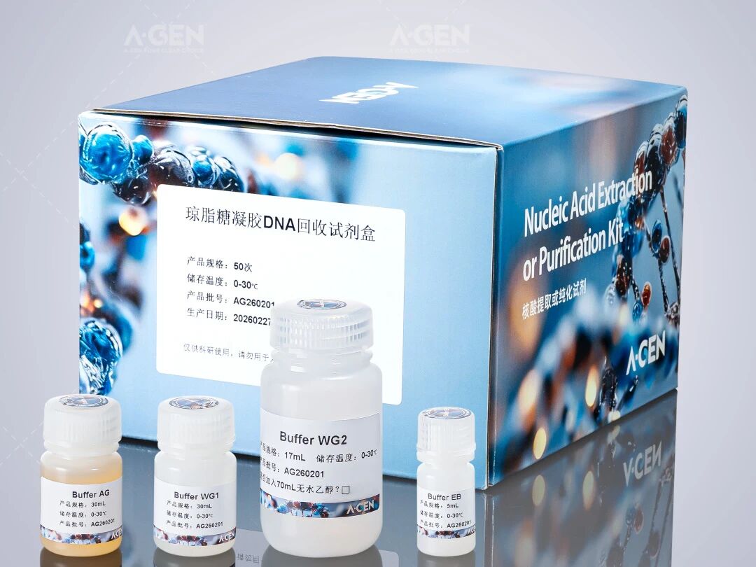 琼脂糖凝胶DNA试剂产品图_爱津生物