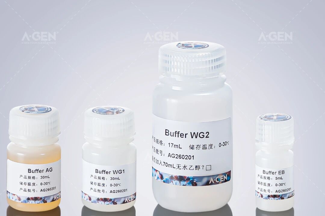 干货分享|一篇看懂爱津质粒 / 胶回收 / PCR 纯化试剂盒核心优势图片