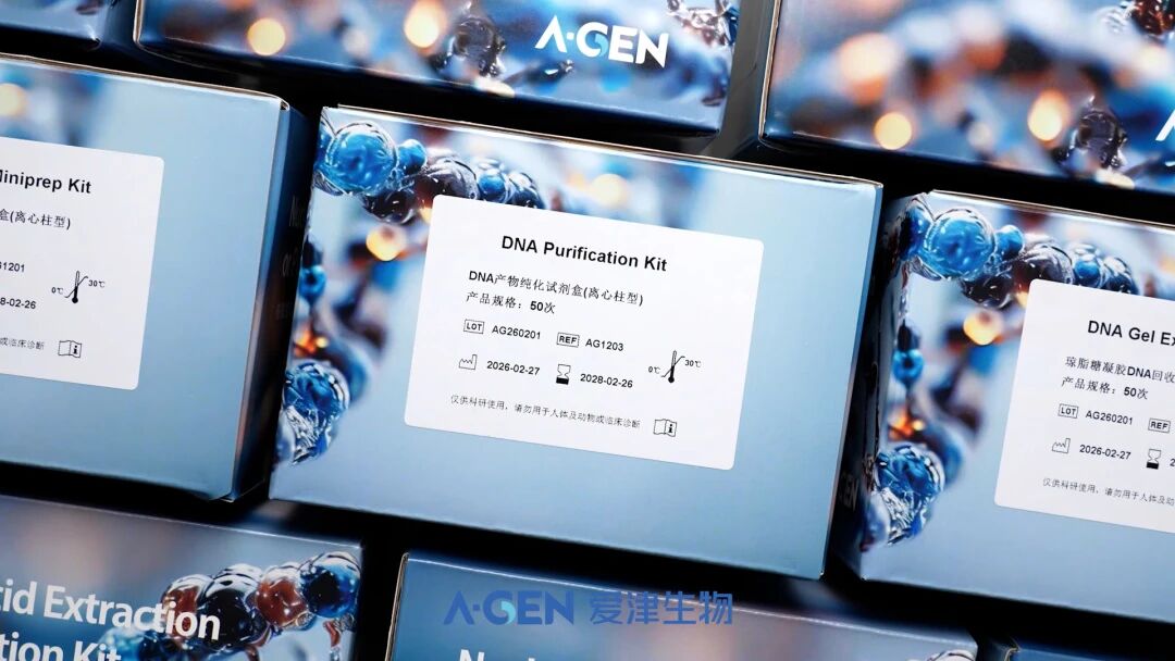 干货分享|一篇看懂爱津质粒 / 胶回收 / PCR 纯化试剂盒核心优势图片