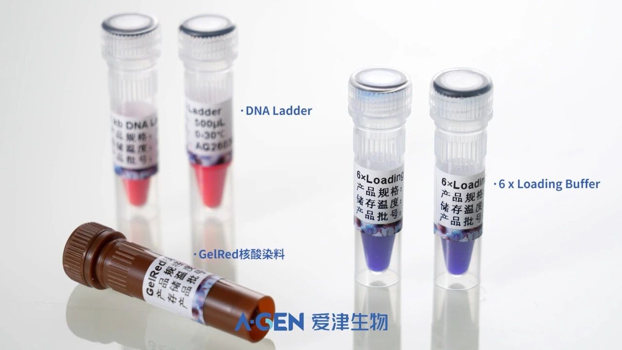干货分享|一篇看懂爱津质粒 / 胶回收 / PCR 纯化试剂盒核心优势图片