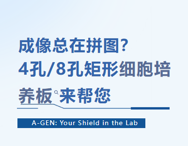 产品推荐 | 成像总在拼图?4孔/8孔矩形细胞培养板来帮您图片