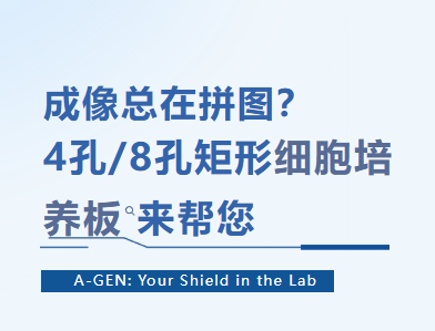 4孔/8孔矩形细胞培养板_显微成像细胞培养耗材-爱津生物图片