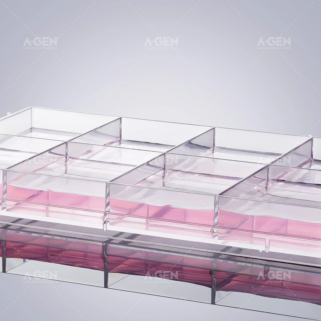 4孔/8孔矩形细胞培养板_显微成像细胞培养耗材-爱津生物图片