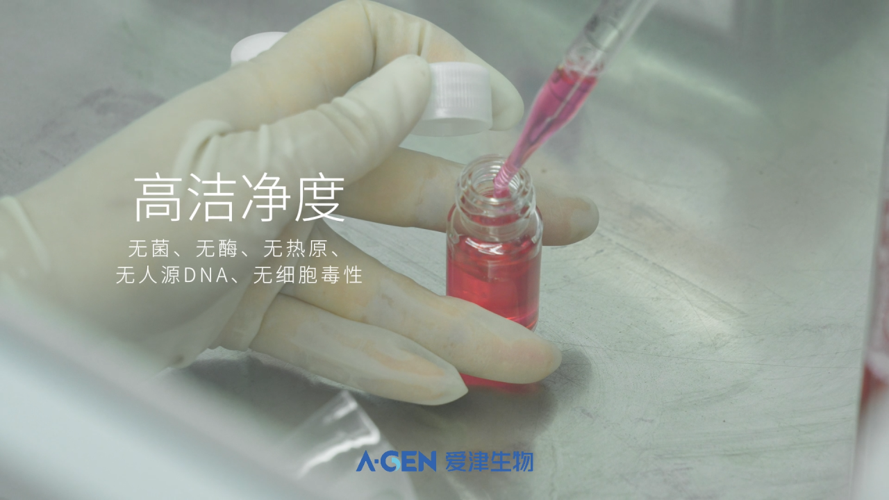 产品推荐 | 生物试剂如何实现更安全储运？答案来了图片