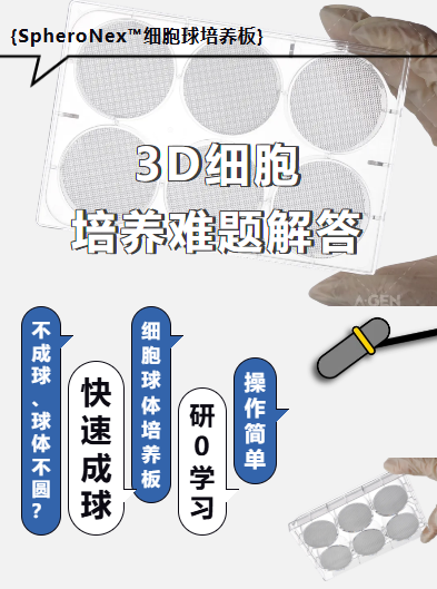 干货分享|3D细胞培养常见问题答疑，SpheroNex™细胞球体培养板图片