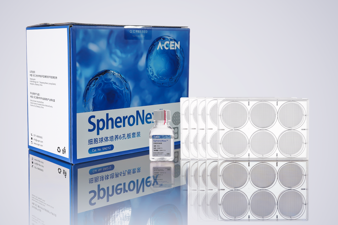 干货分享|3D细胞培养常见问题答疑，SpheroNex™细胞球体培养板图片