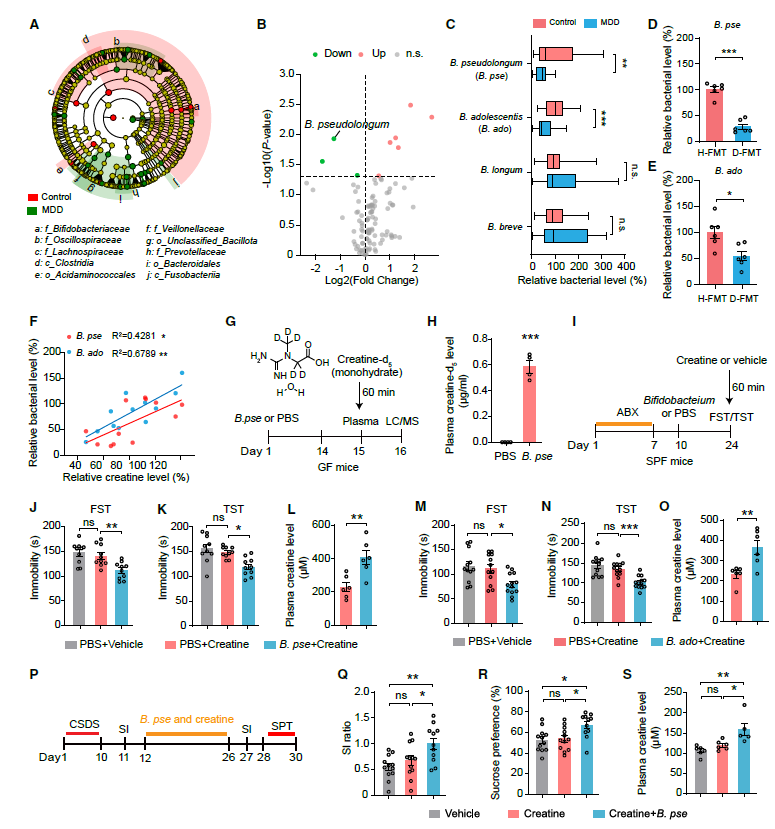 重磅喜报 | 南方医科大学曹雄教授团队登顶《Cell Metabolism》，爱津生物科研激励兑现！图片