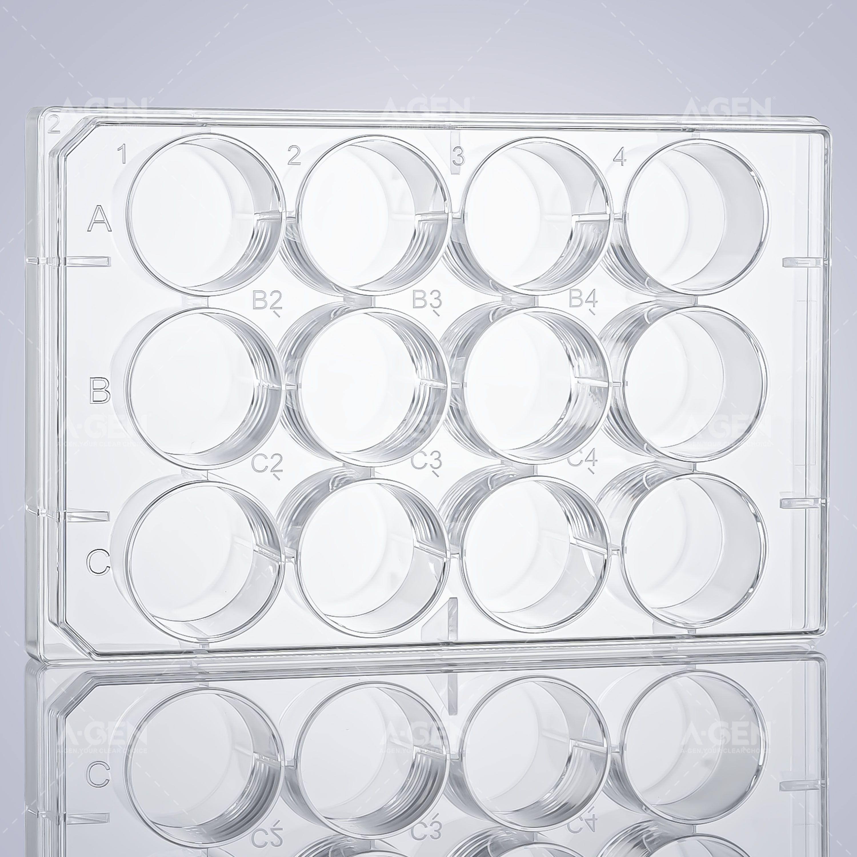 Ultra-Low Attachment Cell Culture Plates-2
