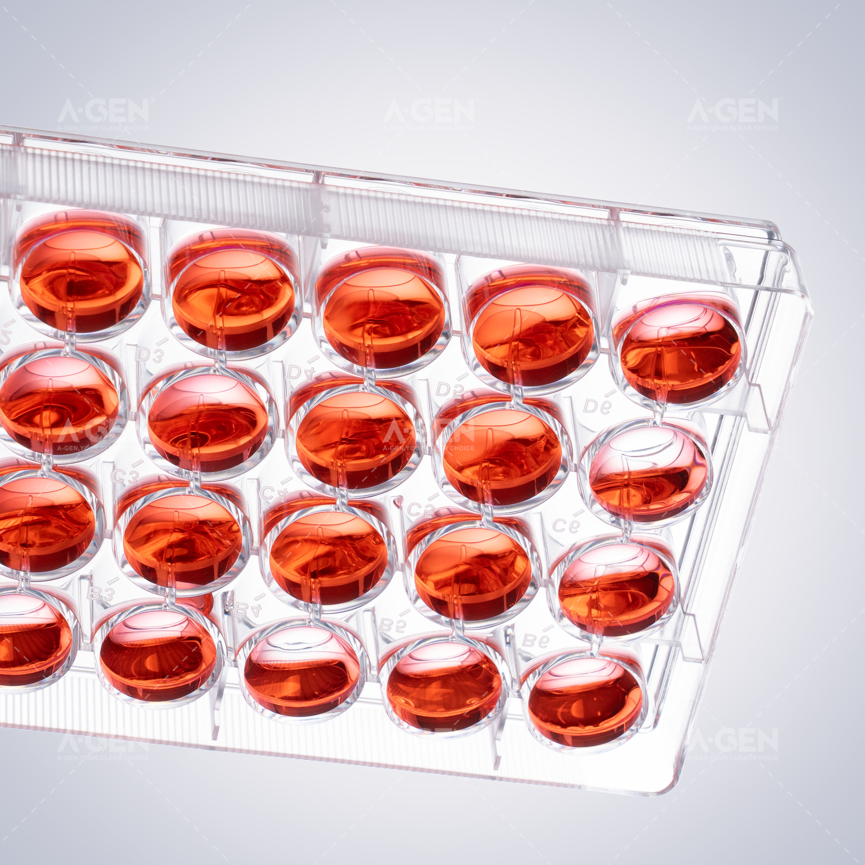 Ultra-Low Attachment Cell Culture Plates