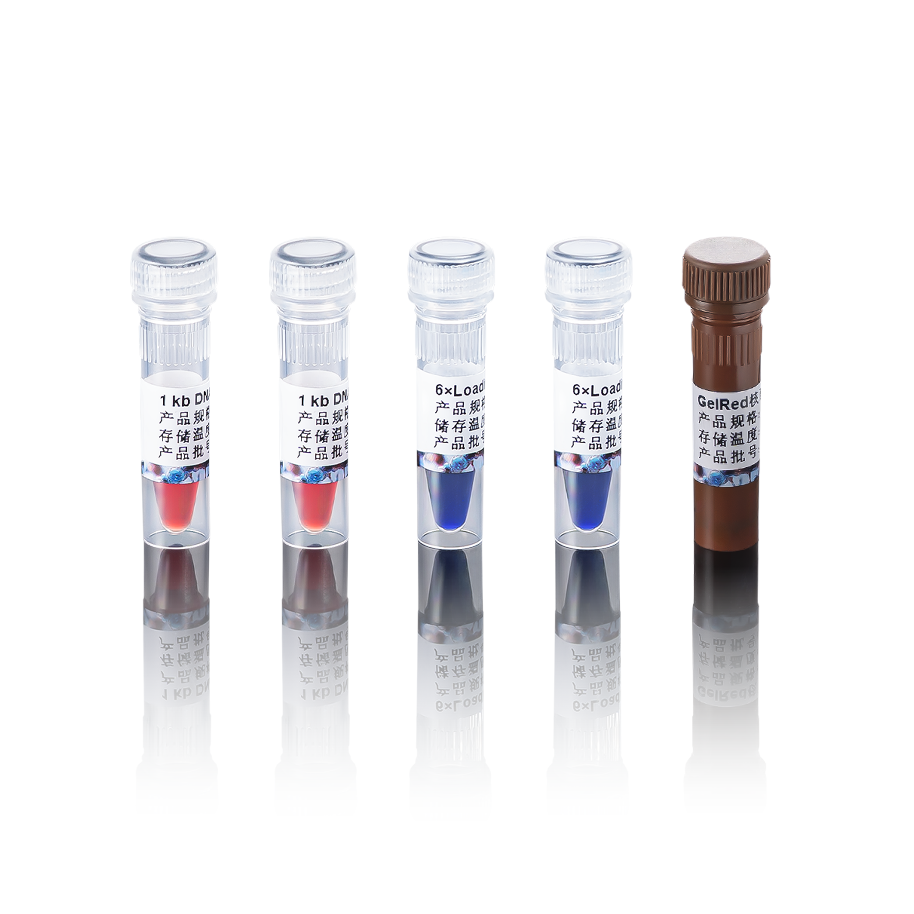 1kb DNA Ladder-2