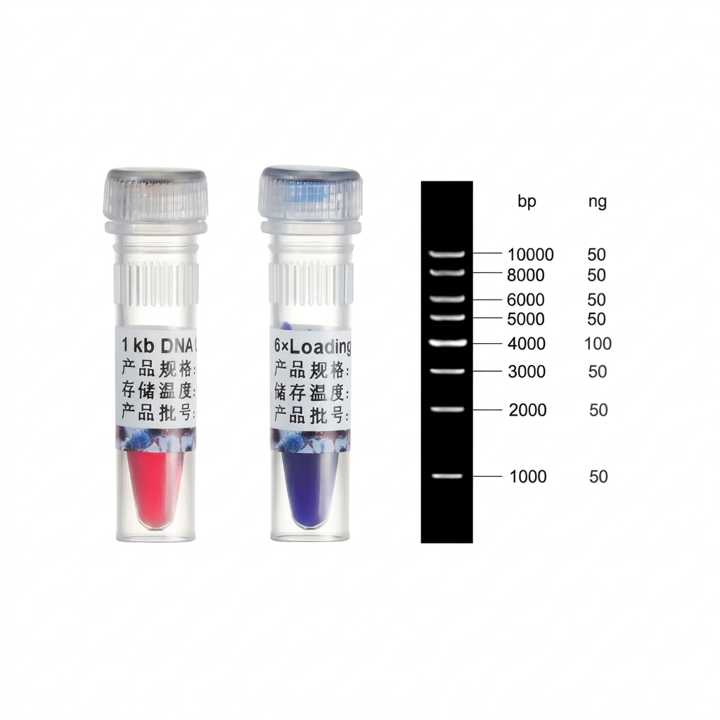 1kb DNA Ladder