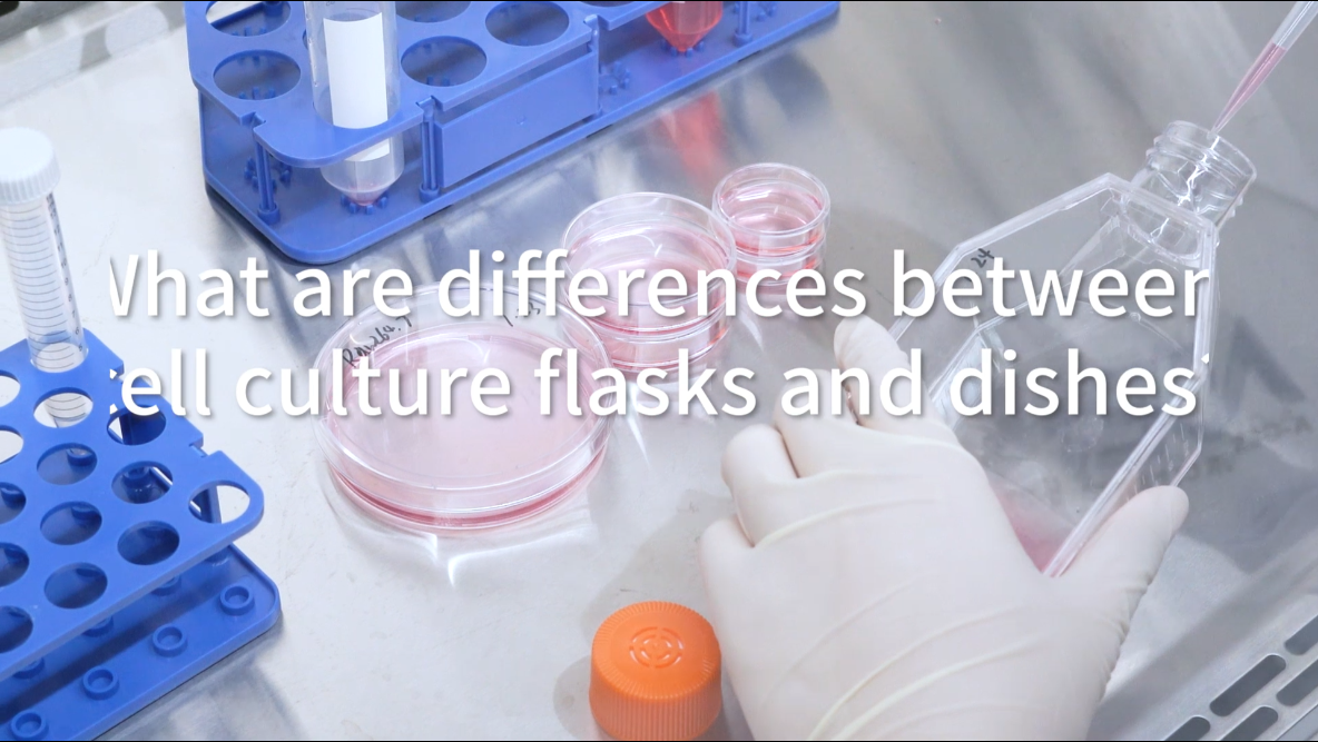The difference between cell culture flasks and cell culture dishes image