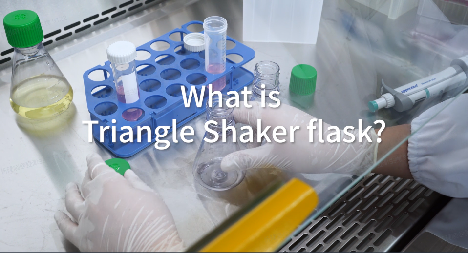 What is Triangle Shaker flask? image