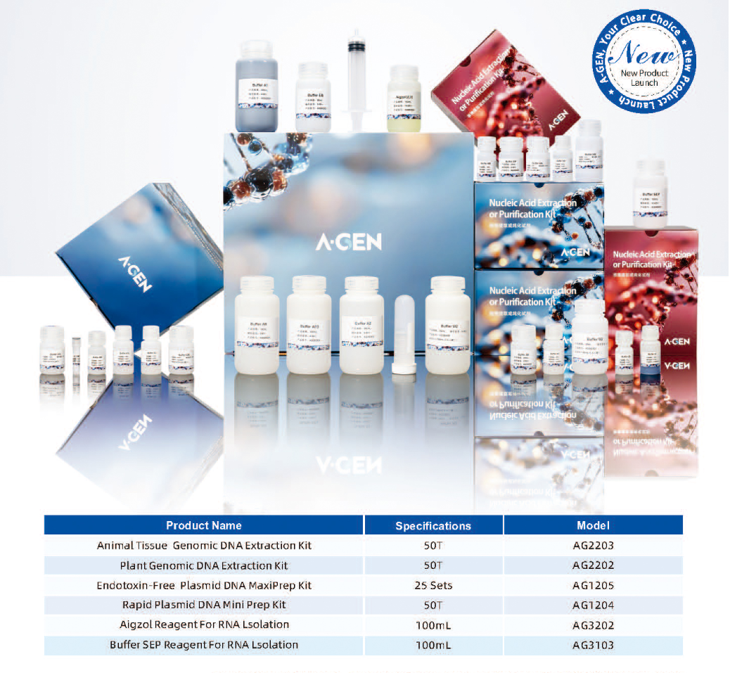 A-GEN Launches New DNA/RNA Extraction Solutions for Safer and More Efficient Research image