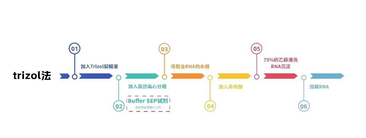 新品上市|2026第二弹6款DNA/RNA提取试剂盒系列!图片
