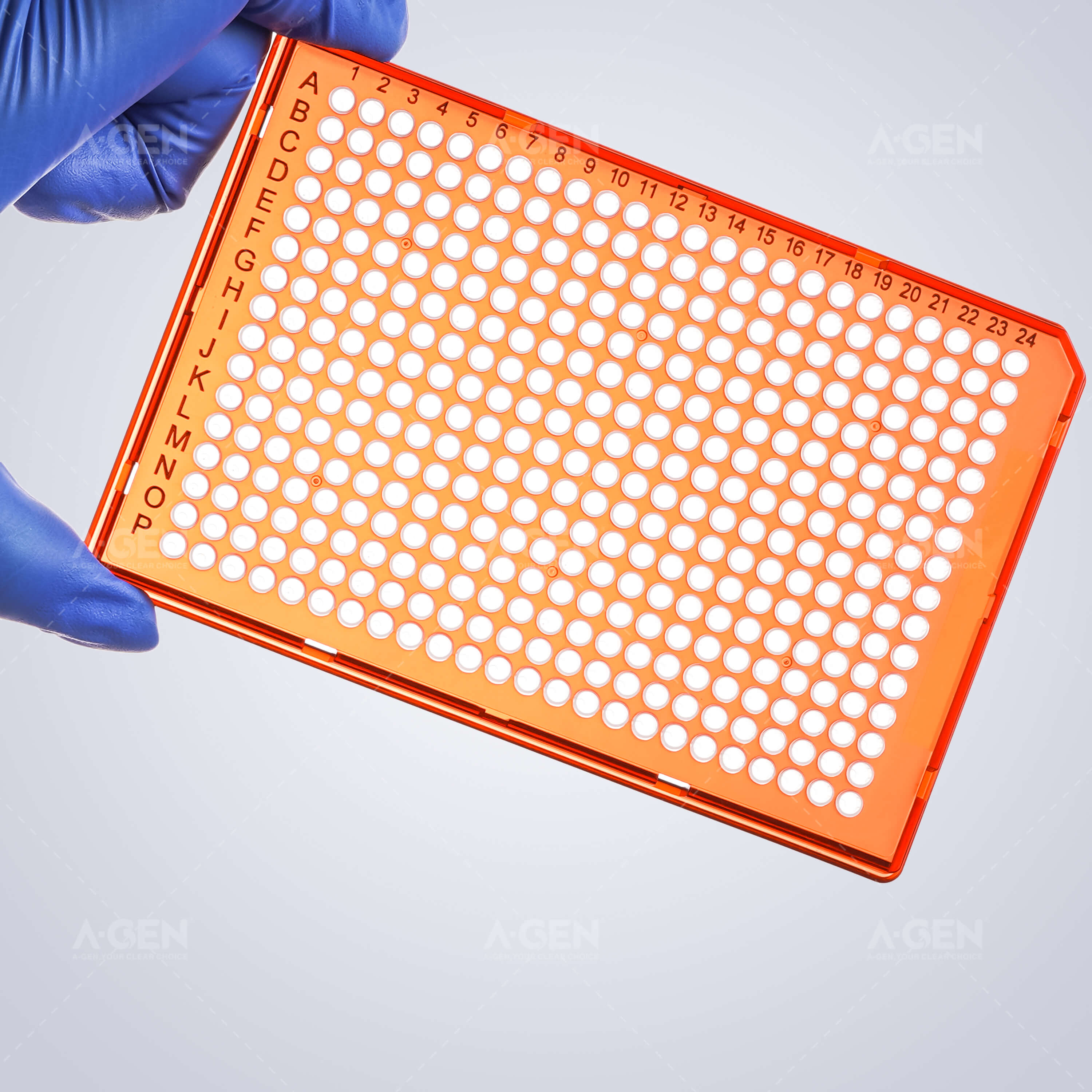 384 PCR Plate image